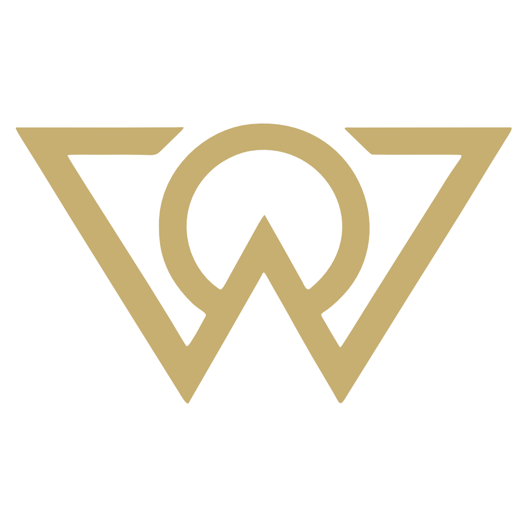 VOW Wellness logo